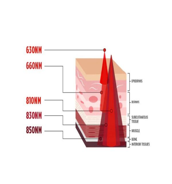 Why Do Red Light Manufacturers Produce Such Different Results?